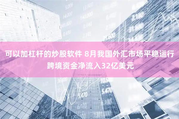 可以加杠杆的炒股软件 8月我国外汇市场平稳运行 跨境资金净流入32亿美元