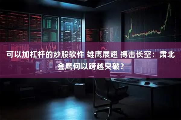 可以加杠杆的炒股软件 雄鹰展翅 搏击长空：肃北金鹰何以跨越突破？